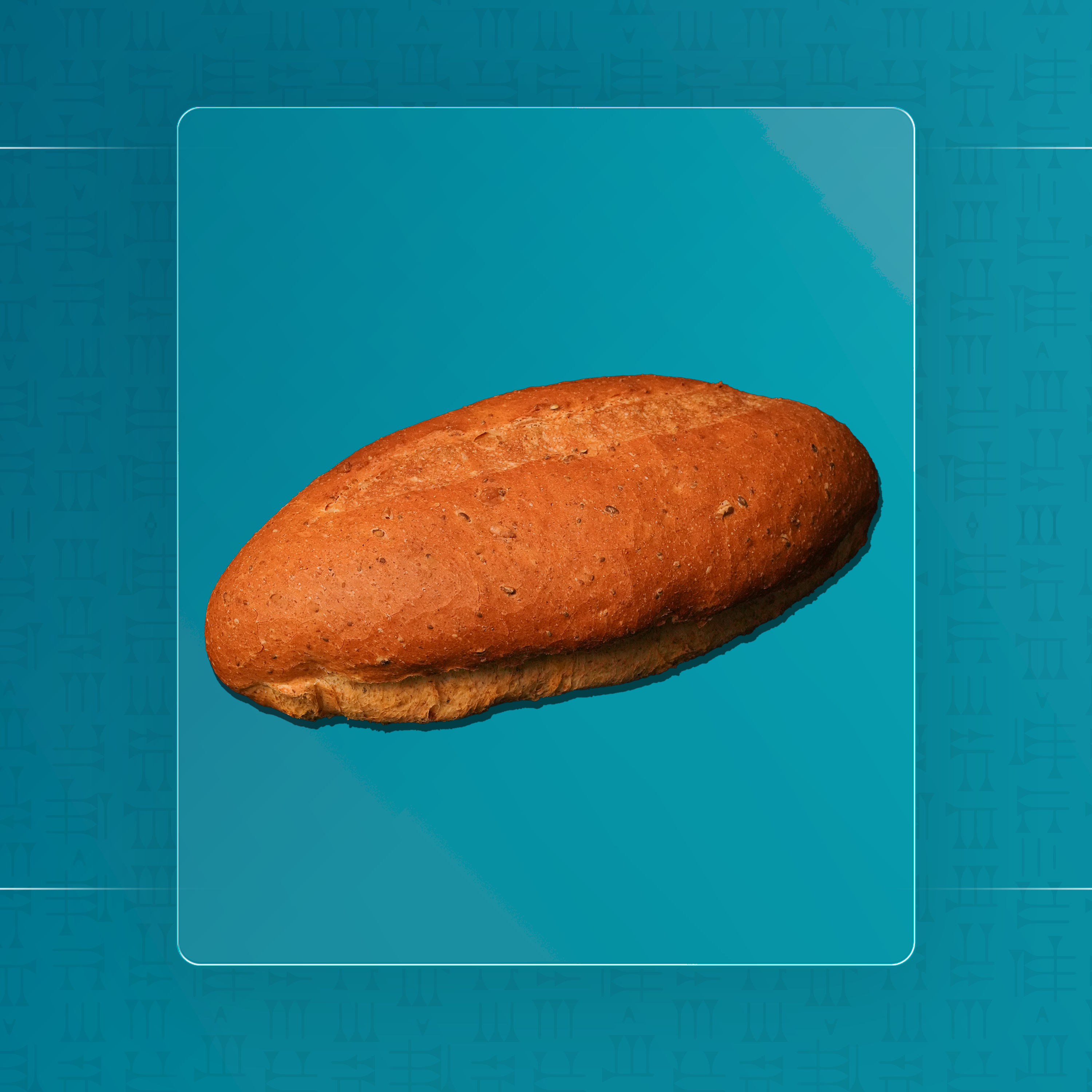 باغيت كبير اسمر