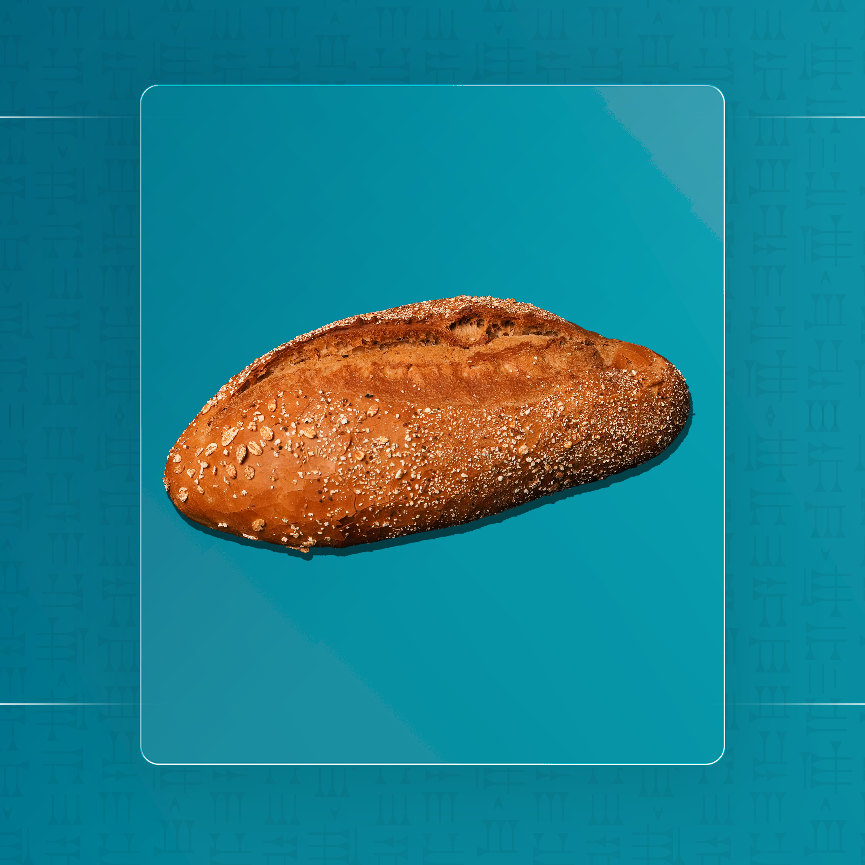 باغيت كبير اسمر بالشوفان