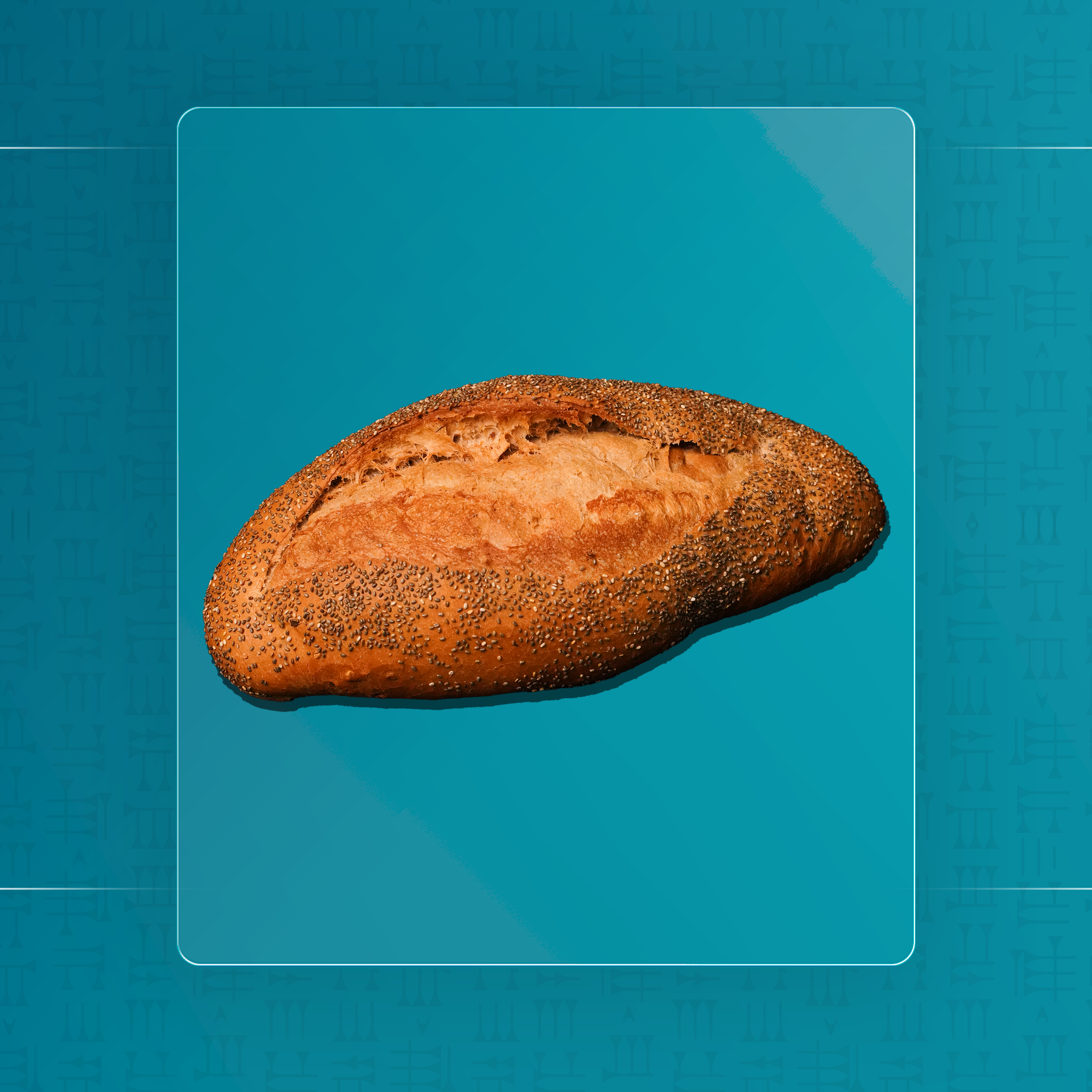 باغيت كبير اسمر بذور الشيا