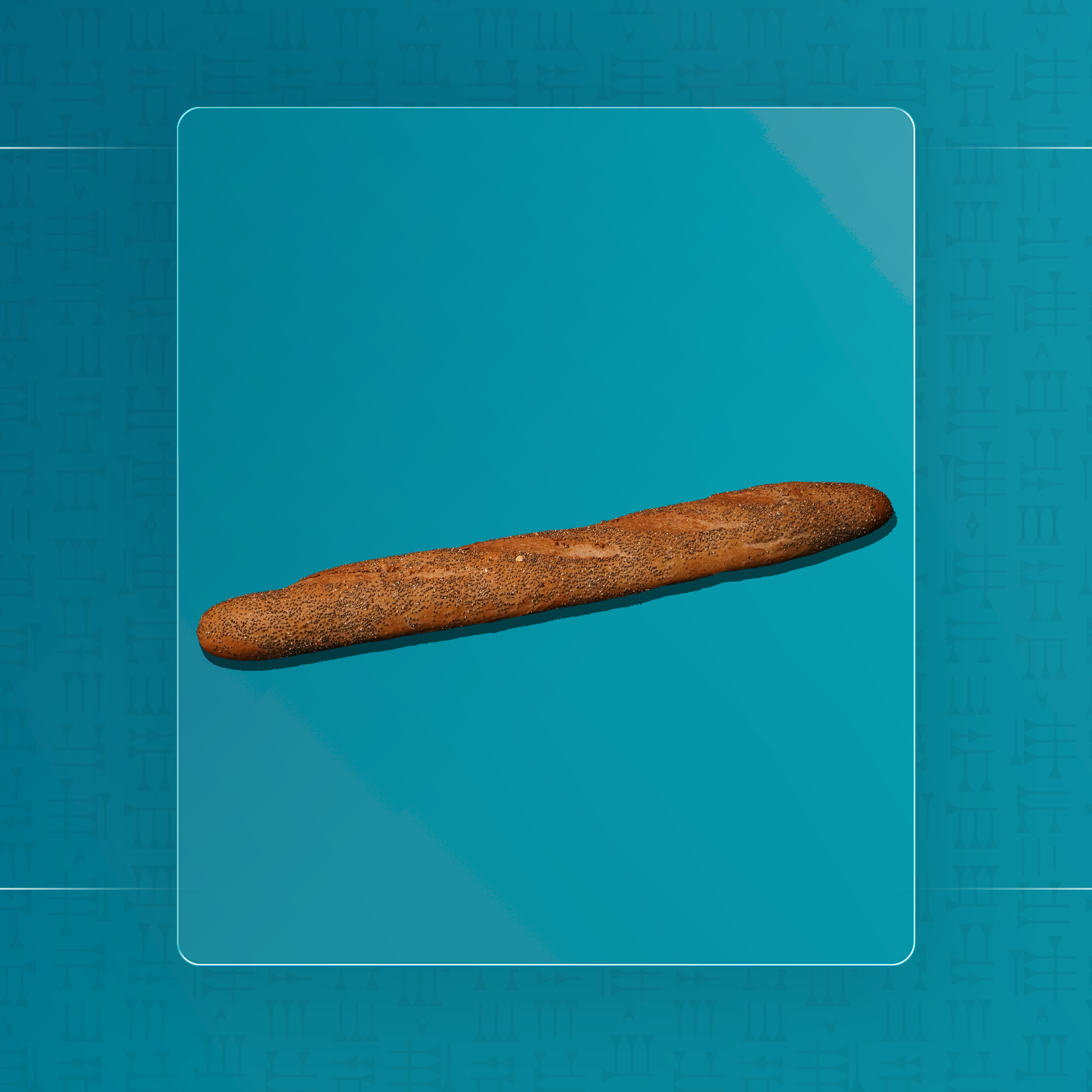 باغيت طويل اسمر بذور الشيا